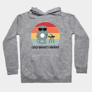 I Do What I Want Cat Lover Crazy Cat Lady Hoodie